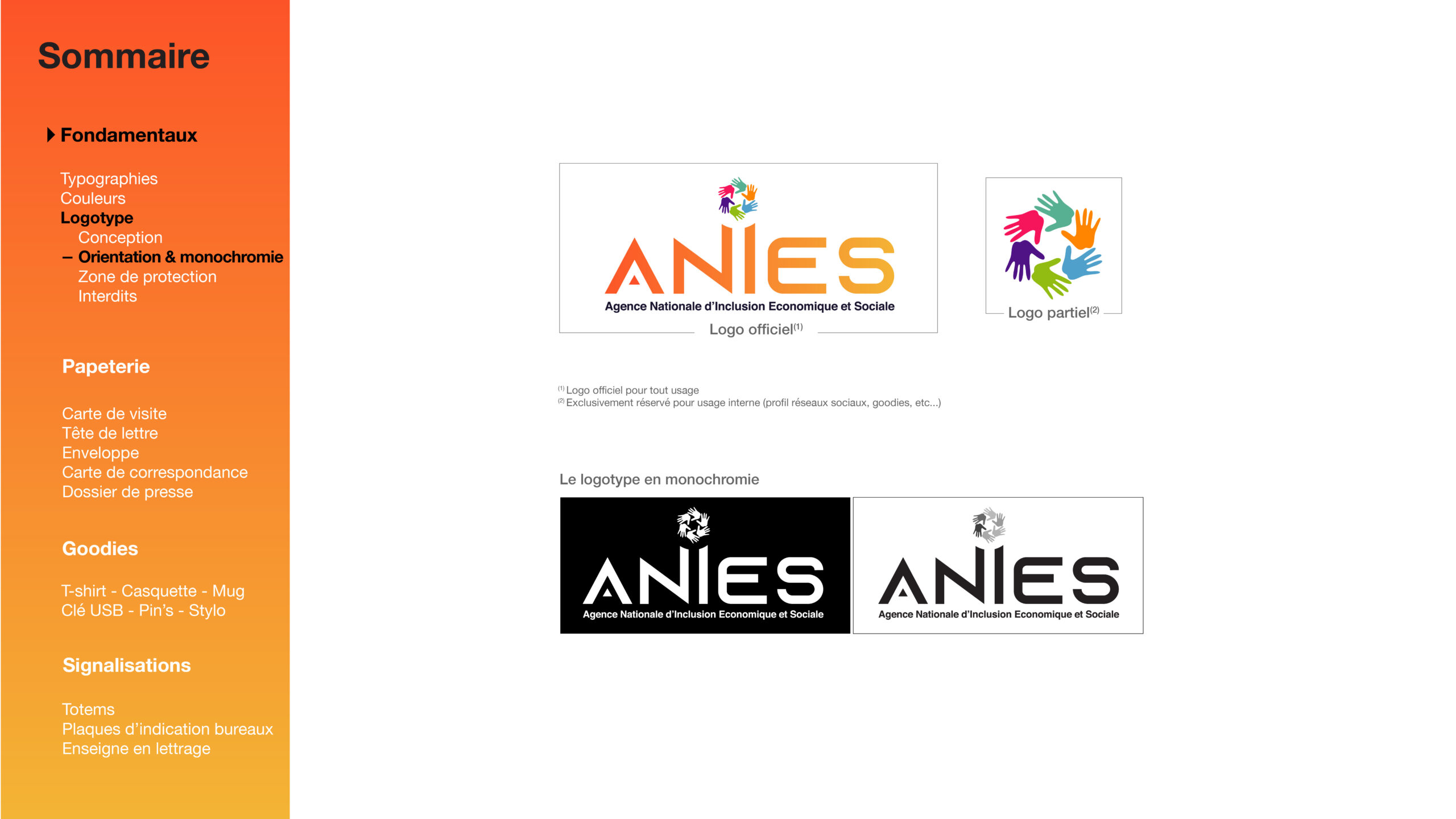 ANIES_Plan de travail 1